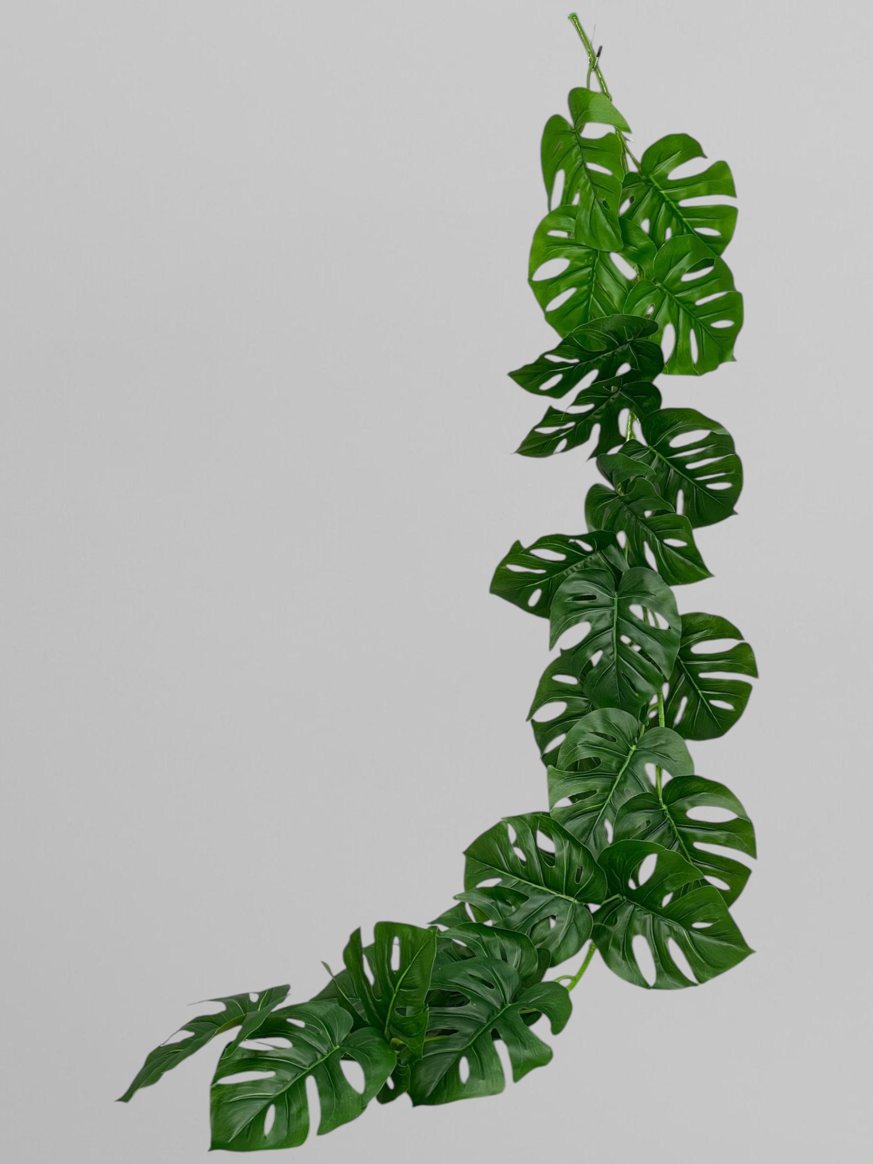 Искусственная монстера лиана 150 см Зеленый (Р01014)