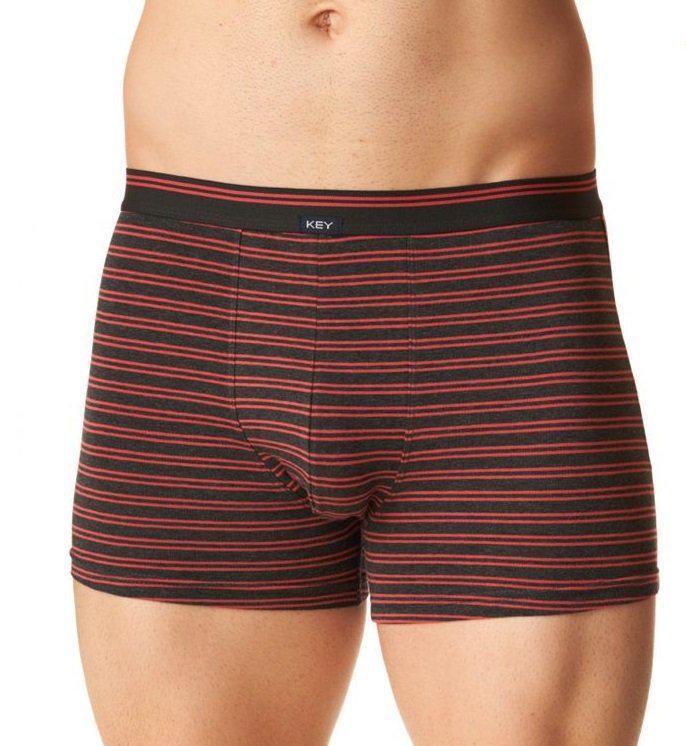 Трусы шорти мужские KEY MXH 321 CZ XL 1 шт. Разноцветный в полоску (5904765679288)