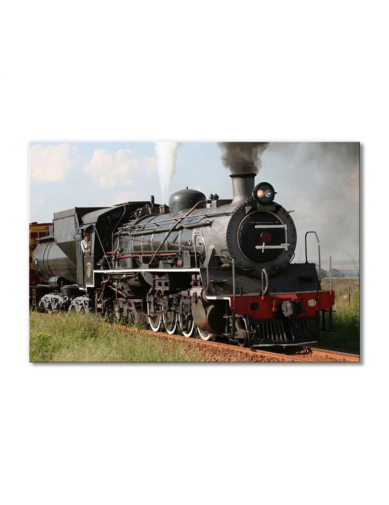 Картина модульная Паровоз в степи 1 модуль 60x90 см