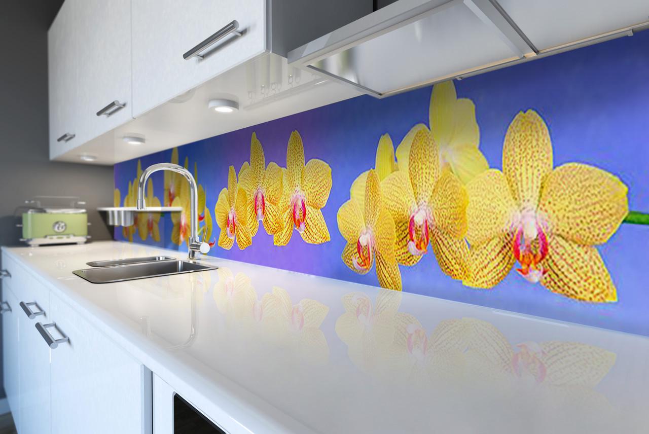 Кухонный фартук Желтые тигровые орхидеи из самоклеющейся виниловой пленки 65х250 см Голубой Кухонный фартук Желтые тигровые орхидеи из самоклеющейся виниловой пленки 65х250 см Голубой