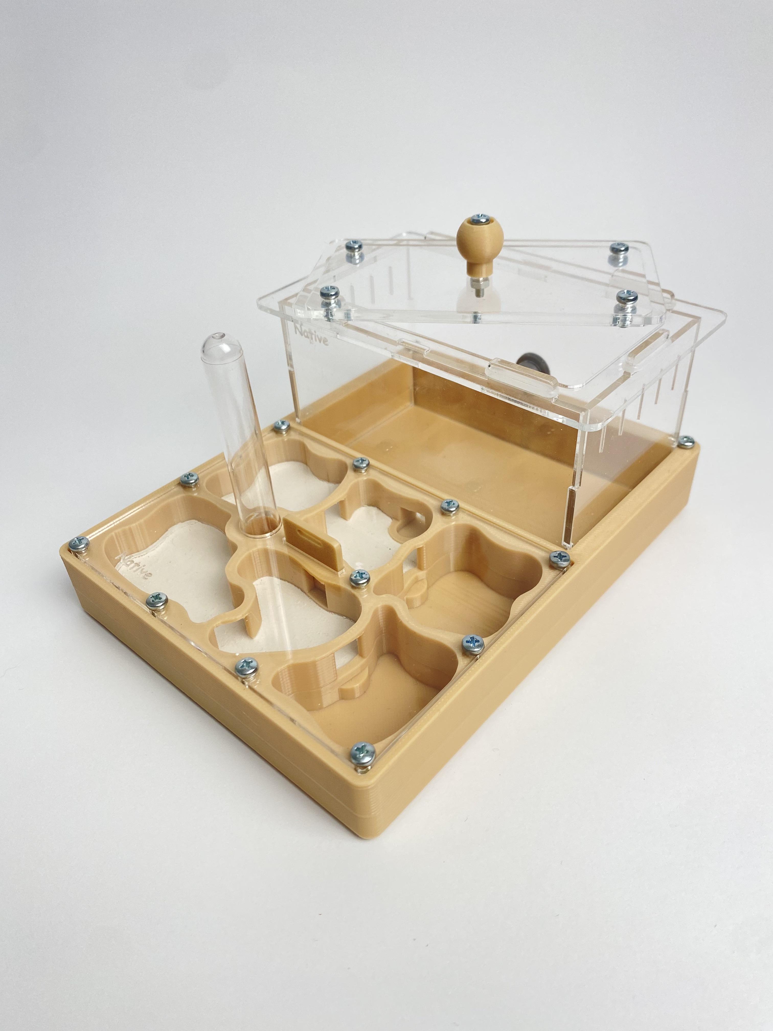 Муравьиная ферма с ареной Формикарий "Стандарт" 12х16 см Бежевый (2580578837)