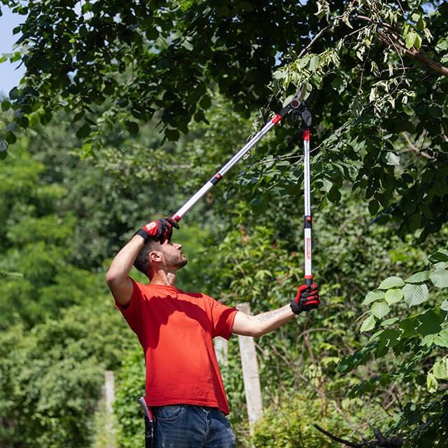 ᐉ Сучкоріз садовий Intertool для обрізки гілок з храповим механізмом з ...