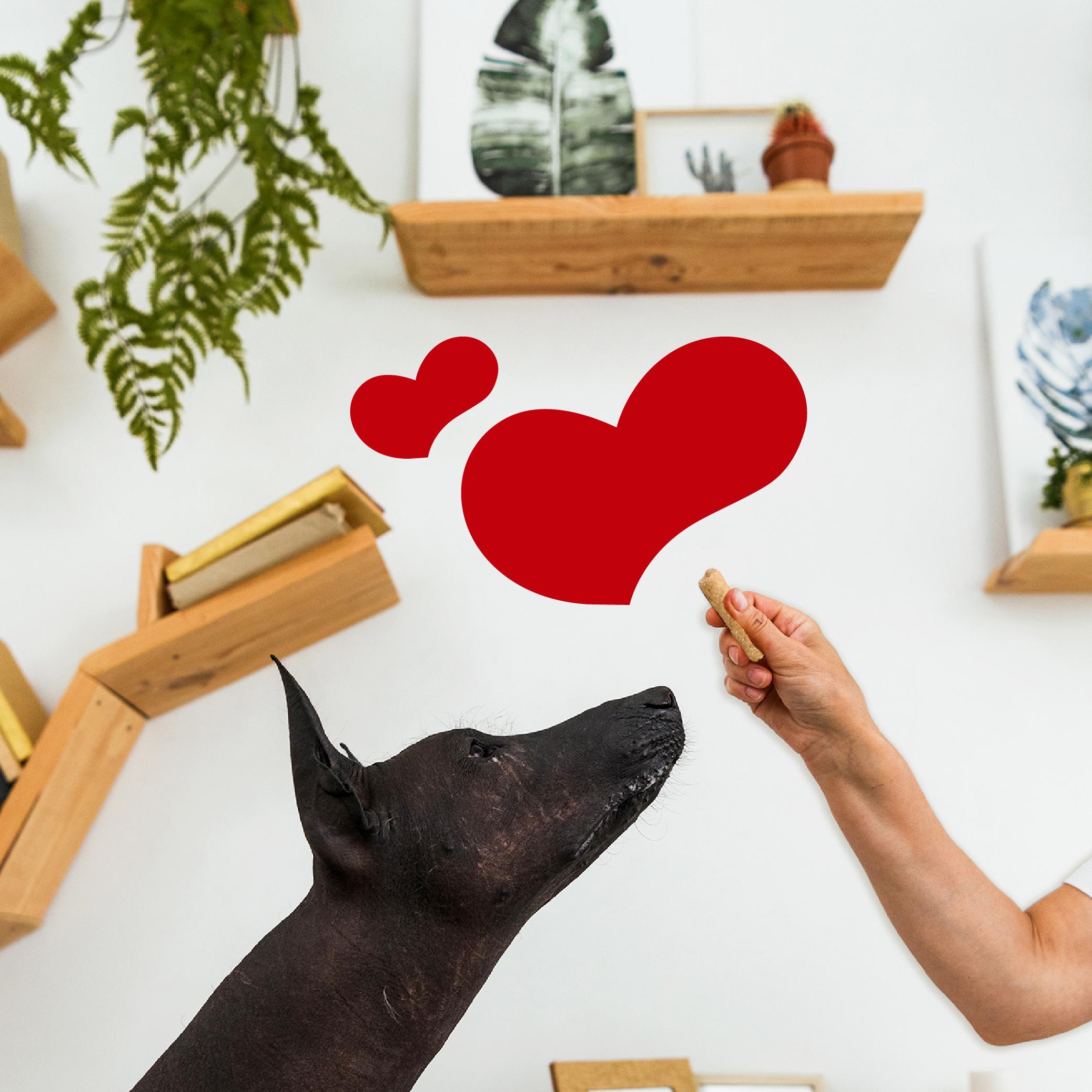 Лакомство для собак Mavsy Freeze dried PATE OSTRICH WITH CRANBERRY SAUCE паштет из страуса под клюквенным соусом от 3-х месяцев 50 г (24624879) - фото 7 Лакомство для собак Mavsy Freeze dried PATE OSTRICH WITH CRANBERRY SAUCE паштет из страуса под клюквенным соусом от 3-х месяцев 50 г (24624879) - фото 7