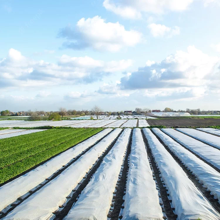 Агроволокно Agreen 50 г/м² 1,6х100 м Белый (57746) - фото 8 Агроволокно Agreen 50 г/м² 1,6х100 м Белый (57746) - фото 8