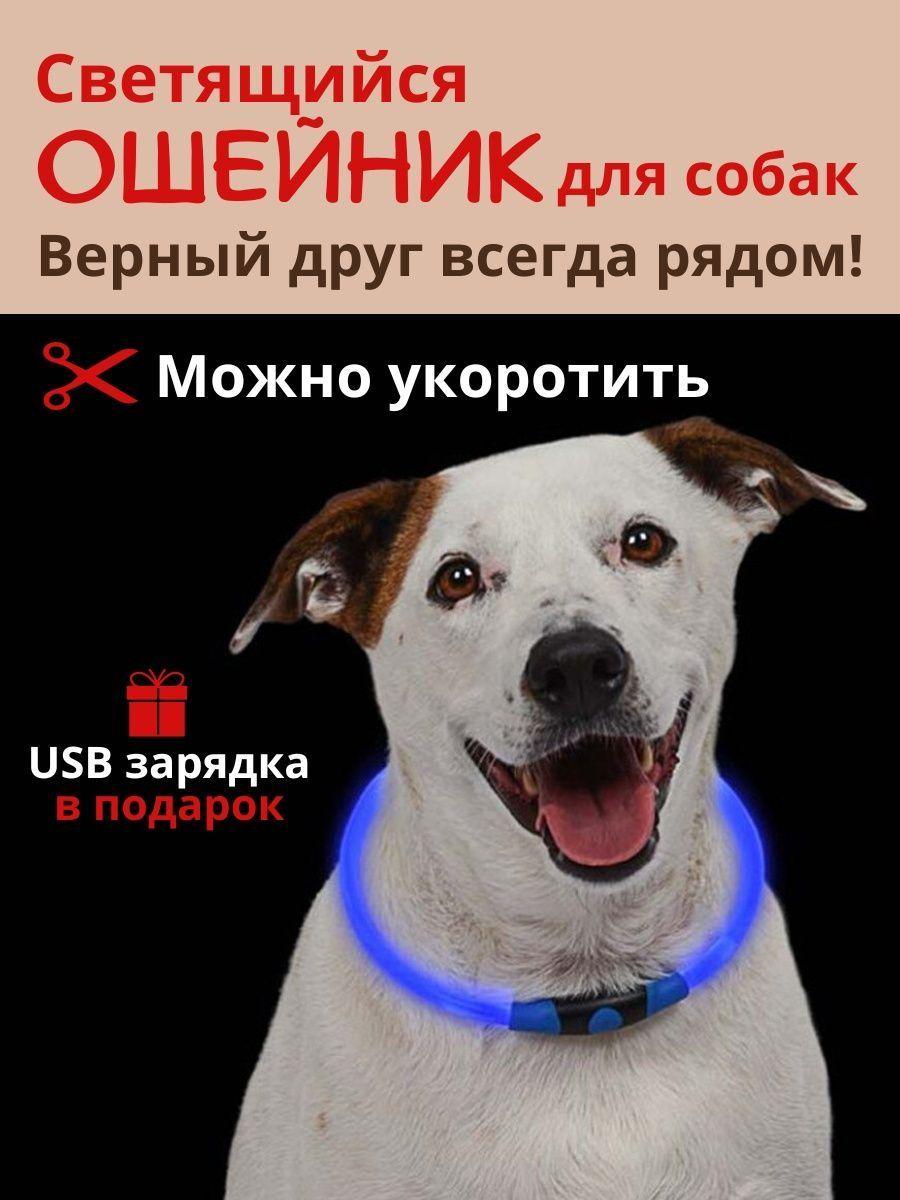 Ошейник для собак Led средний 50 см Синий (OM7) - фото 2 Ошейник для собак Led средний 50 см Синий (OM7) - фото 2