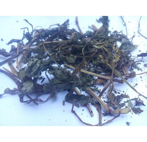 Сушеная трава чистотела Herbs Zaporoje 5 кг (С0169)