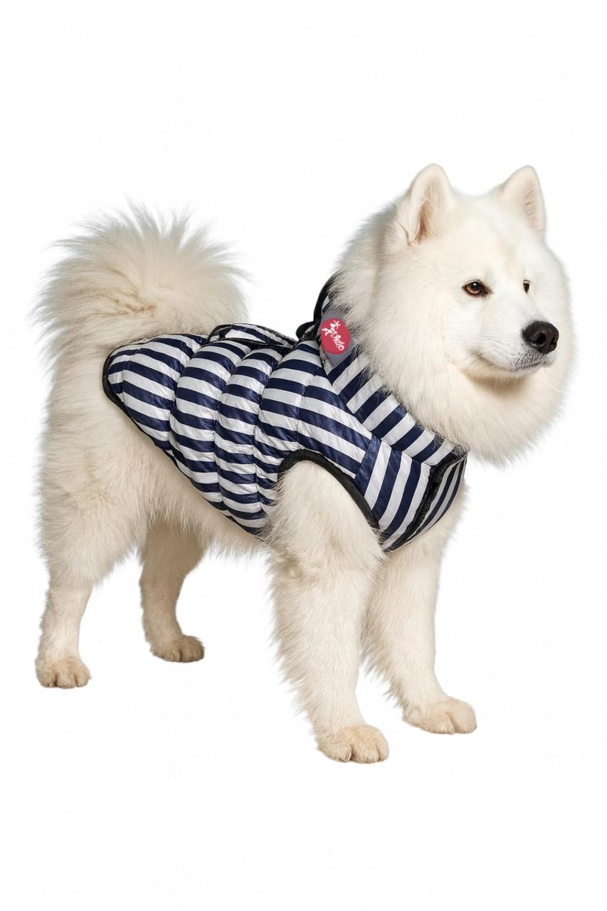 Жилет для собак Diego Sport Полоска р. 6 (124182039)
