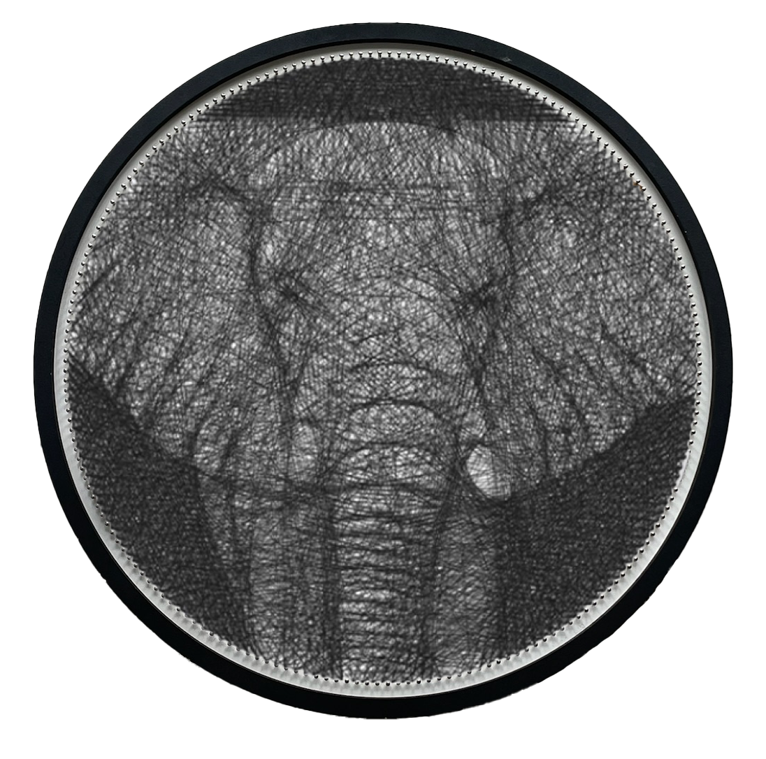 Картина нитками ArtLover String Art Слон с рамкой 50 см (AL-k20009)