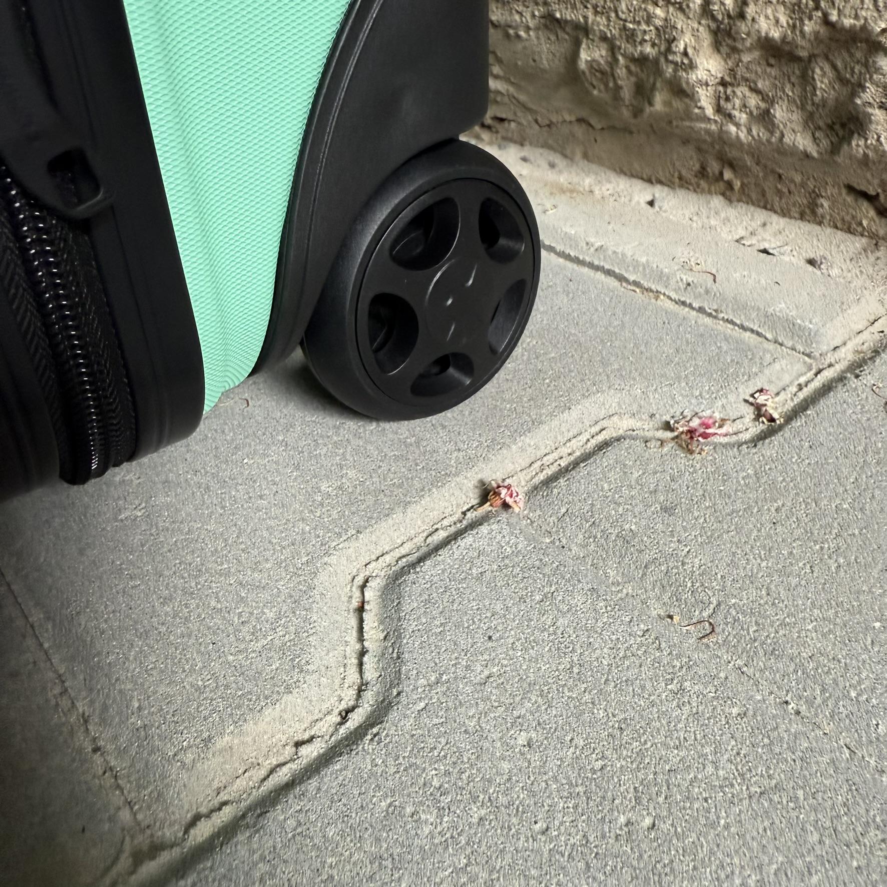 Мини-чемодан Wings PEA01 дорожный XXS Мятный (26630754) - фото 7 Мини-чемодан Wings PEA01 дорожный XXS Мятный (26630754) - фото 7