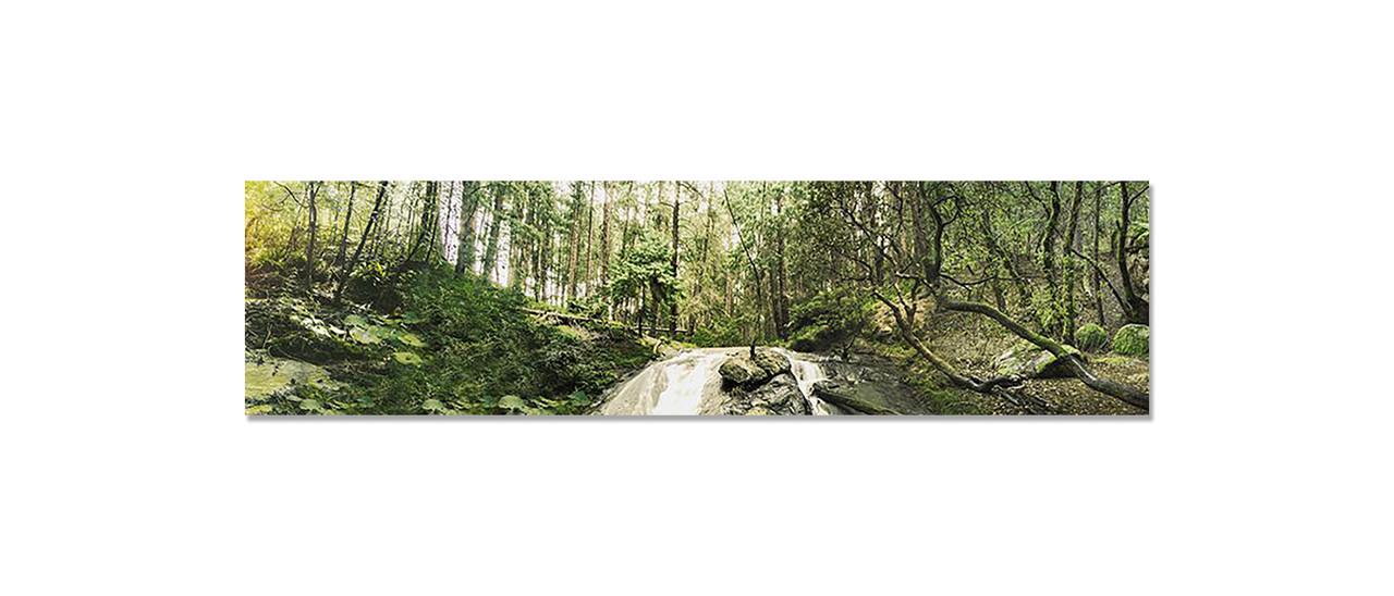 Наклейка виниловая на кухню Zatarga Старый лес 650х2500 мм (1274514133)