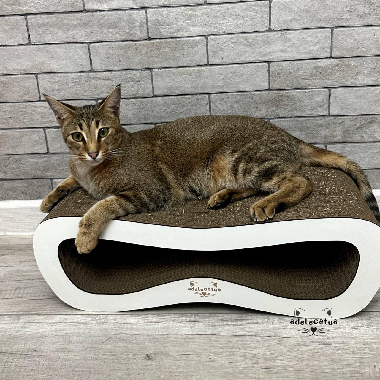 ᐉ Когтеточка-лежанка для кошек Adelecat большая 56х19х25 см • Купить в ...