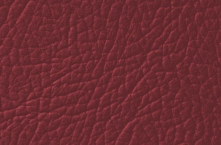 Эмаль для окрашивания кожи Leather Expert Colourant 100 г 504 Maroon