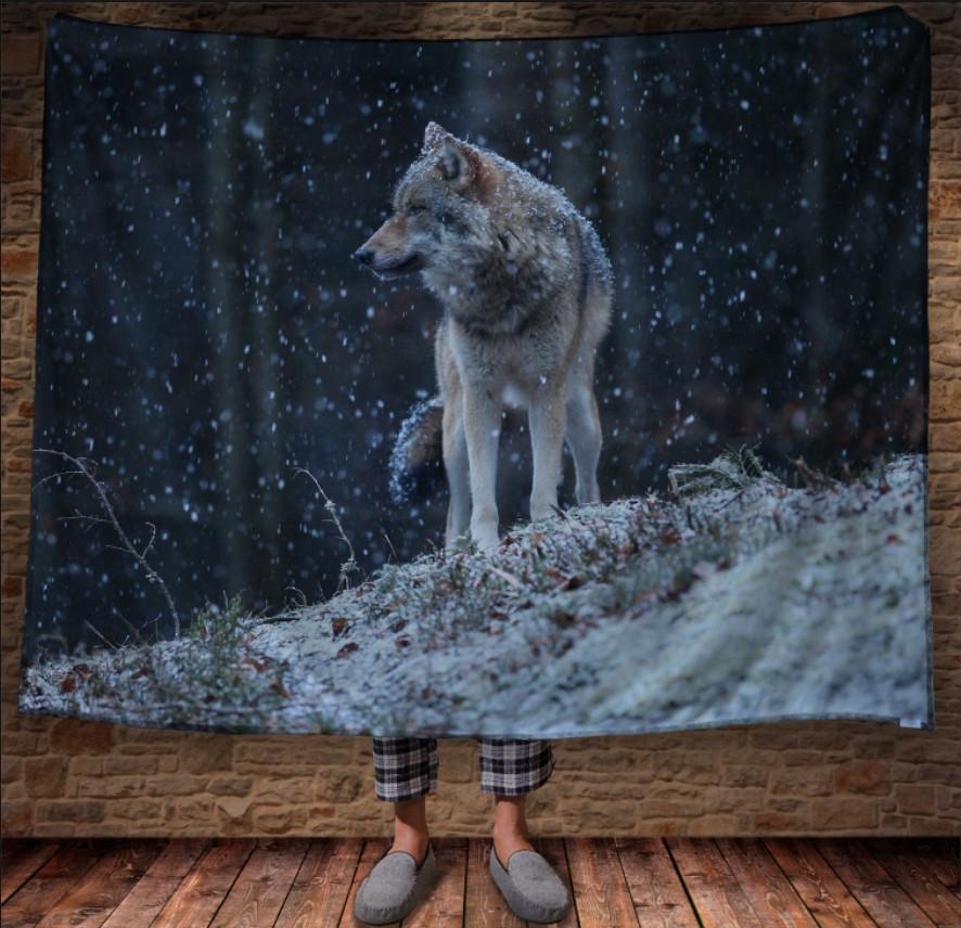 Плед з 3D принтом 1232 150х200 см (epi_1593) Плед з 3D принтом 1232 150х200 см (epi_1593)