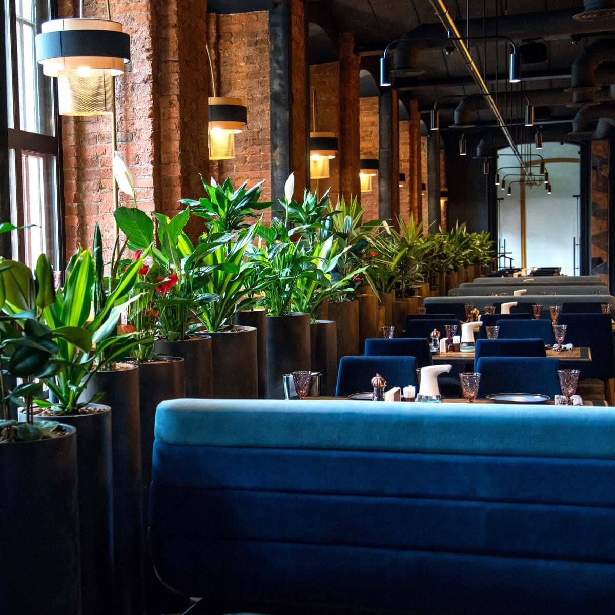 Спрей універсальний Compo Complete 500 мл (A-025944) - фото 8