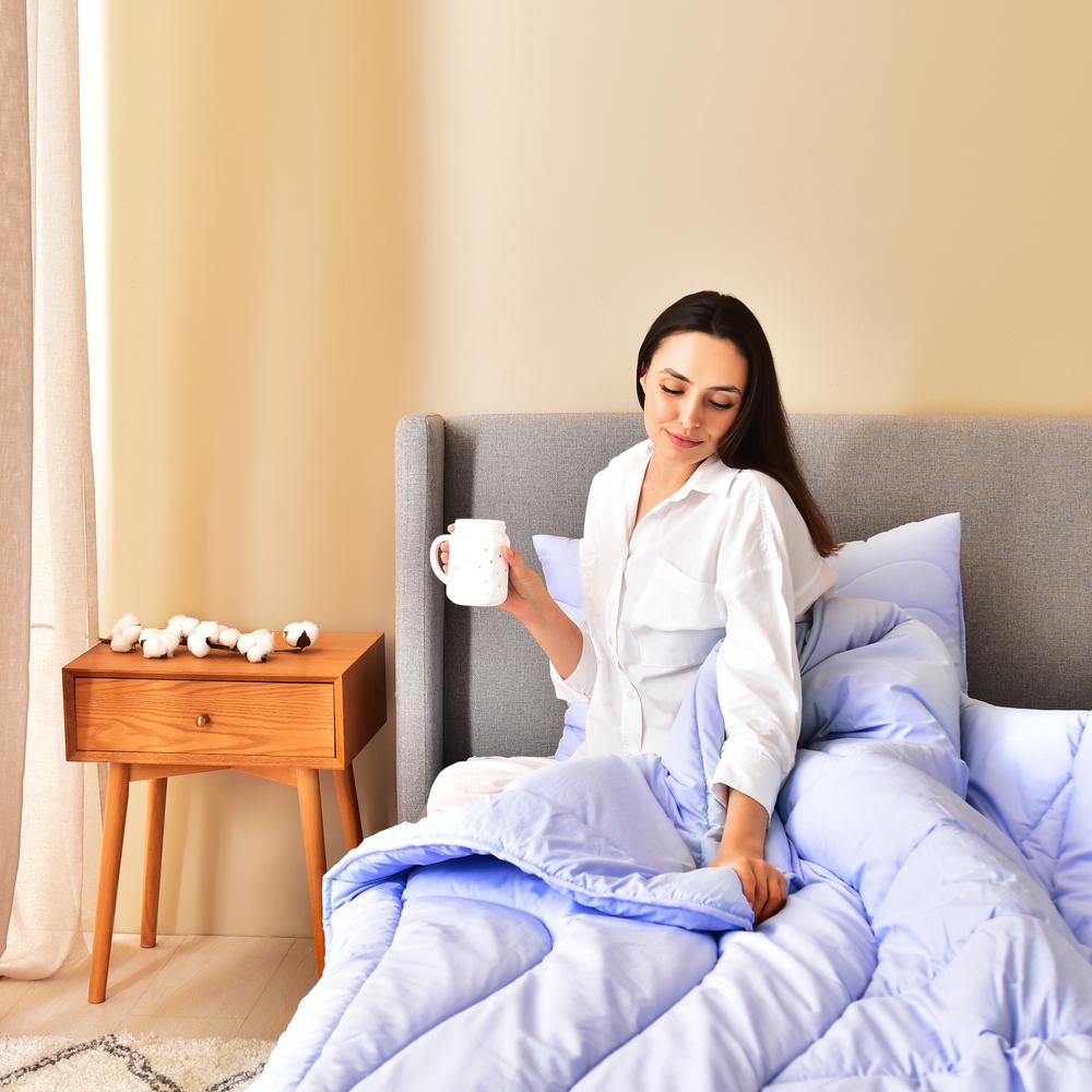 Набор одеял евро IDEIA OASIS с наволочками и простыней 200х220 см Лавандовый (22872) - фото 9 Набор одеял евро IDEIA OASIS с наволочками и простыней 200х220 см Лавандовый (22872) - фото 9