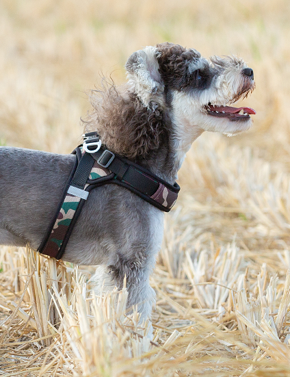 Шлея для собак Truelove TLH3013 регулируемая светоотражающая нейлоновая XS 38-45 см Камуфляж (2092096171) - фото 5
