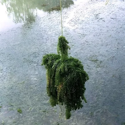 Гак для чищення водоростей з мотузкою 10 м (AN00285) - фото 9 Гак для чищення водоростей з мотузкою 10 м (AN00285) - фото 9