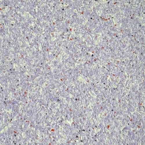 Жидкие обои YURSKI Тюльпан №1102