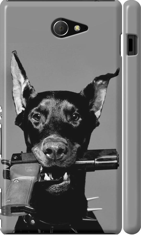 Чехол на Sony Xperia M2 D2305 Доберман (2745m-60-42517) Чехол на Sony Xperia M2 D2305 Доберман (2745m-60-42517)