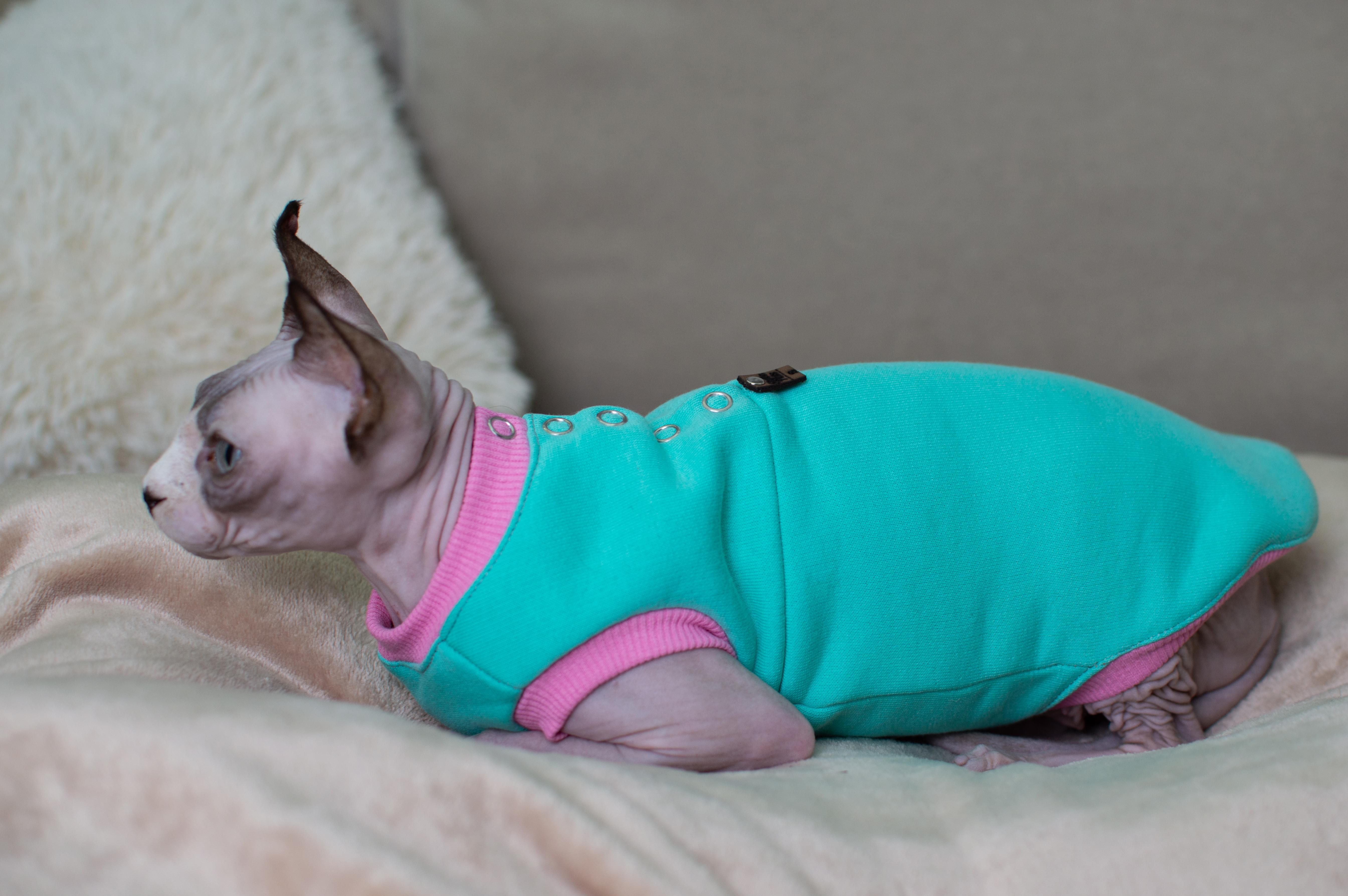 Кофта для кошек без рукавов теплая Style Pets CLASSIC XL Turquoise (415XL)