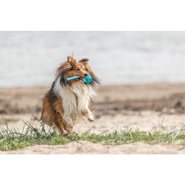 М'яч Trixie у вигляді сотна мотузці для собак 6х23 см (TX-33545) - фото 3 М'яч Trixie у вигляді сотна мотузці для собак 6х23 см (TX-33545) - фото 3