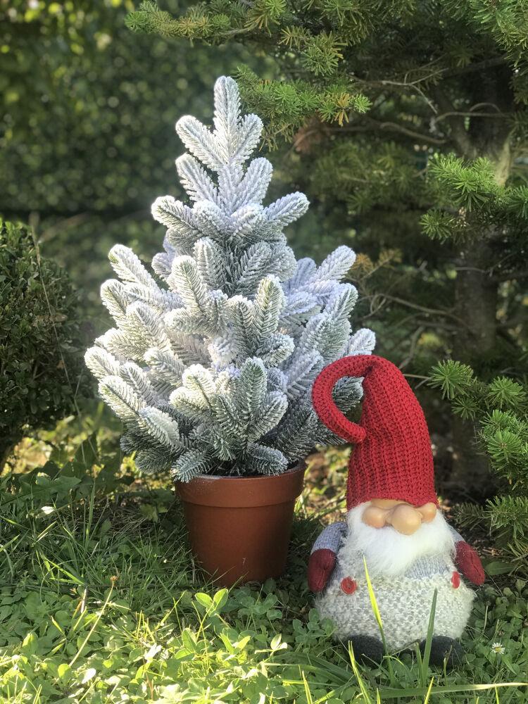 Ялинка засніжена Traditional лита в горщику 50 см (215N/50/GS) - фото 2 Ялинка засніжена Traditional лита в горщику 50 см (215N/50/GS) - фото 2