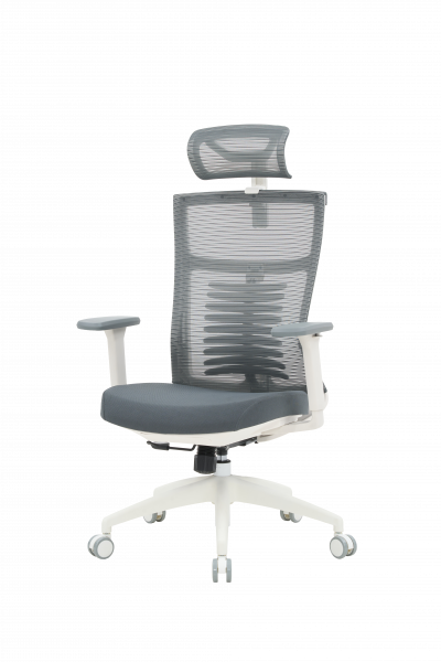 Кресло офисное OfficePro Balance OC550-W-DG-DG (1670800)