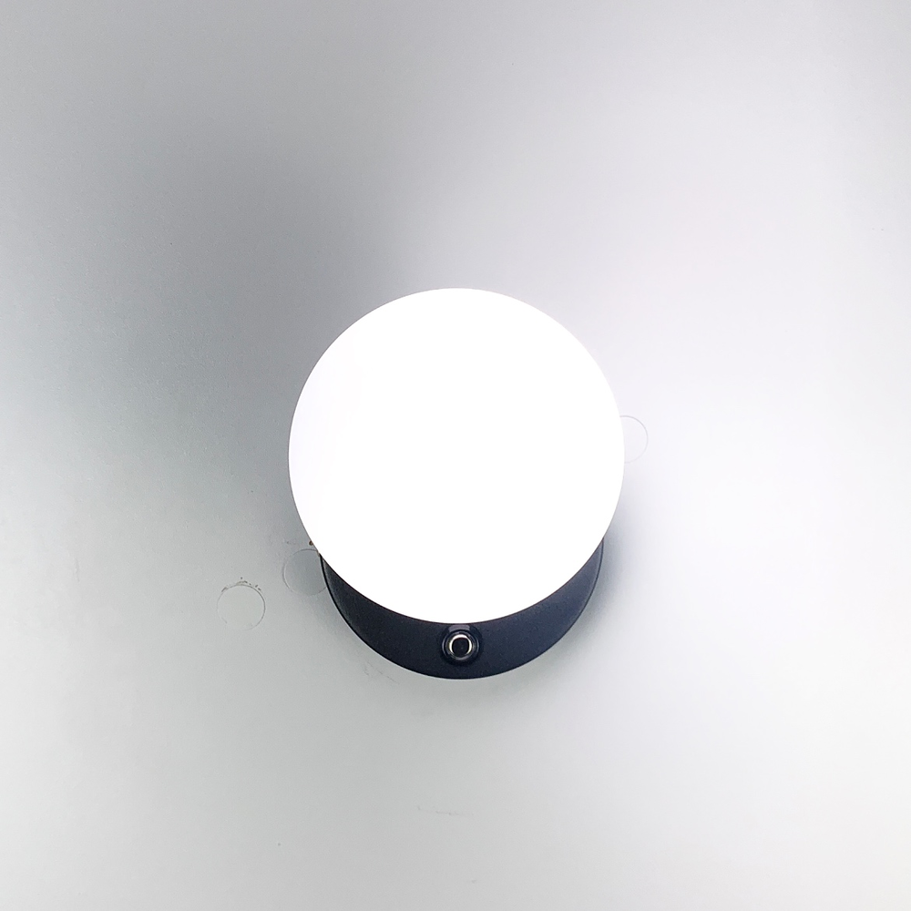 Светильник настенный Light House LNF-17419/1W BK Черный