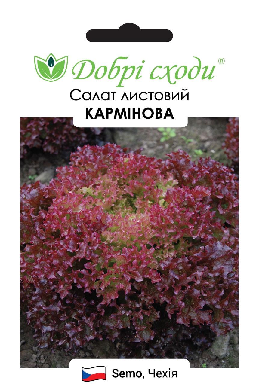 Насіння салат листовий Кармінова Добрі Сходи 30 шт. (01270008) Насіння салат листовий Кармінова Добрі Сходи 30 шт. (01270008)