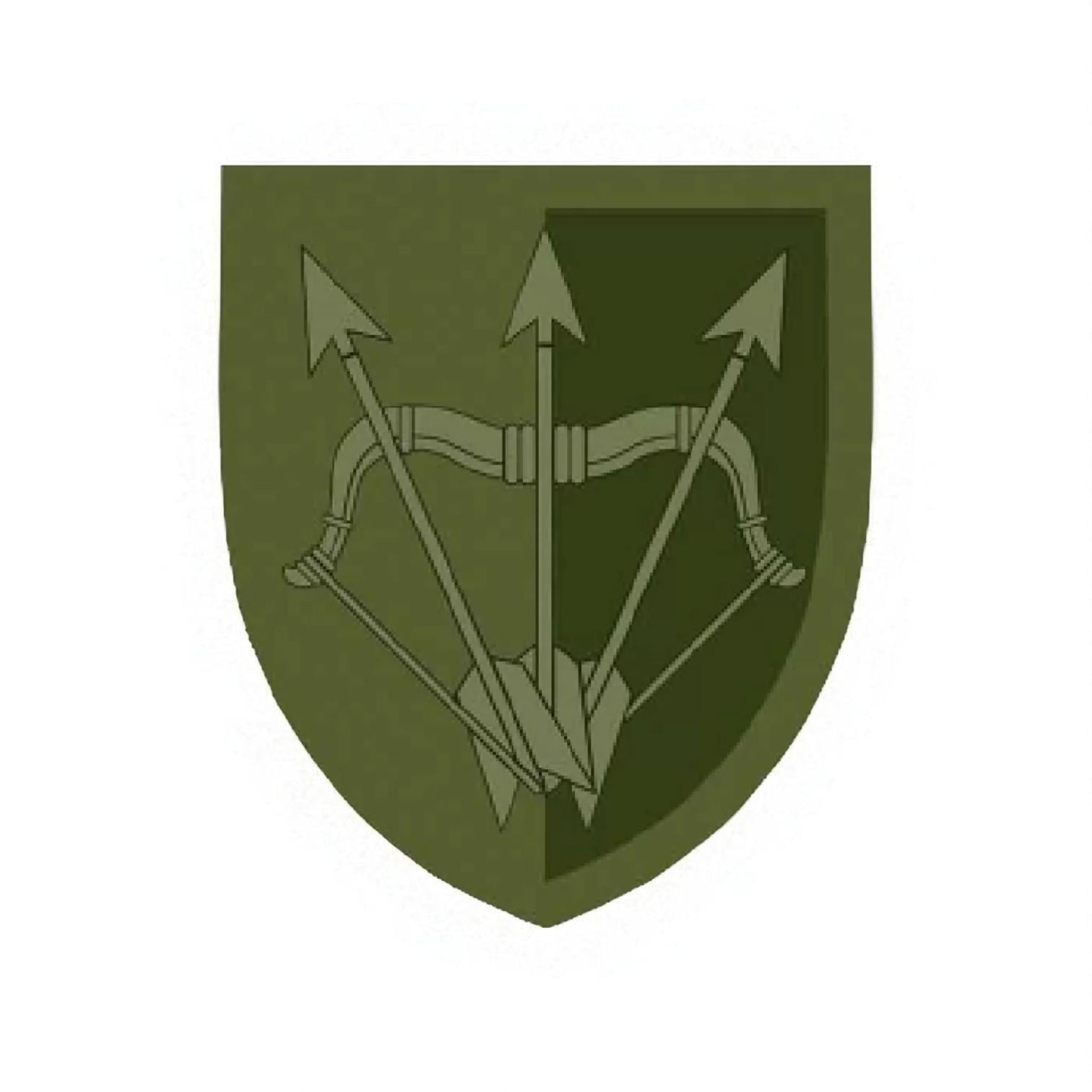 Шеврон 1129 ЗРП Олива