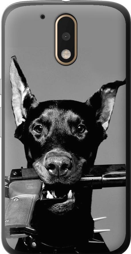 Чехол на Motorola MOTO G4 Доберман (2745t-511-42517)