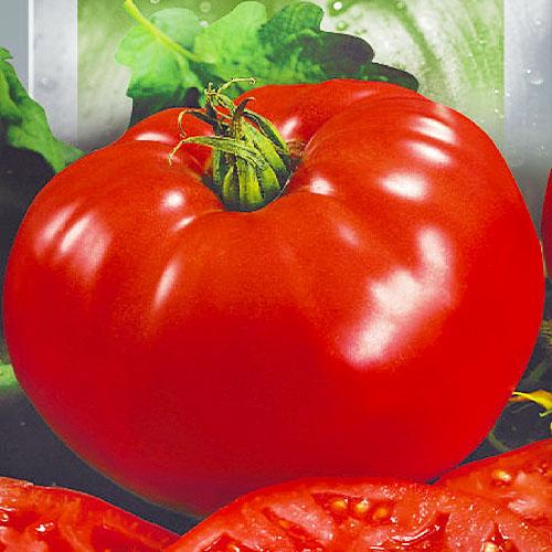 Насіння Томат Florium Ведмежа Лапа (7892) Насіння Томат Florium Ведмежа Лапа (7892)