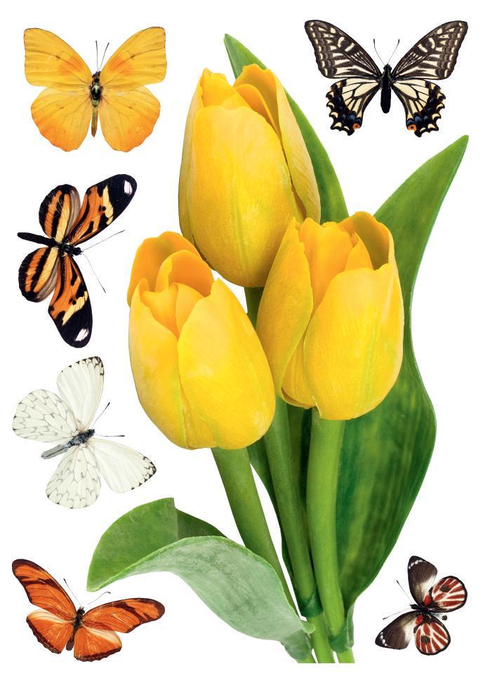Декоративная наклейка Арт-Декор 11 Желтые тюльпаны 50х70 см (2000000483764)