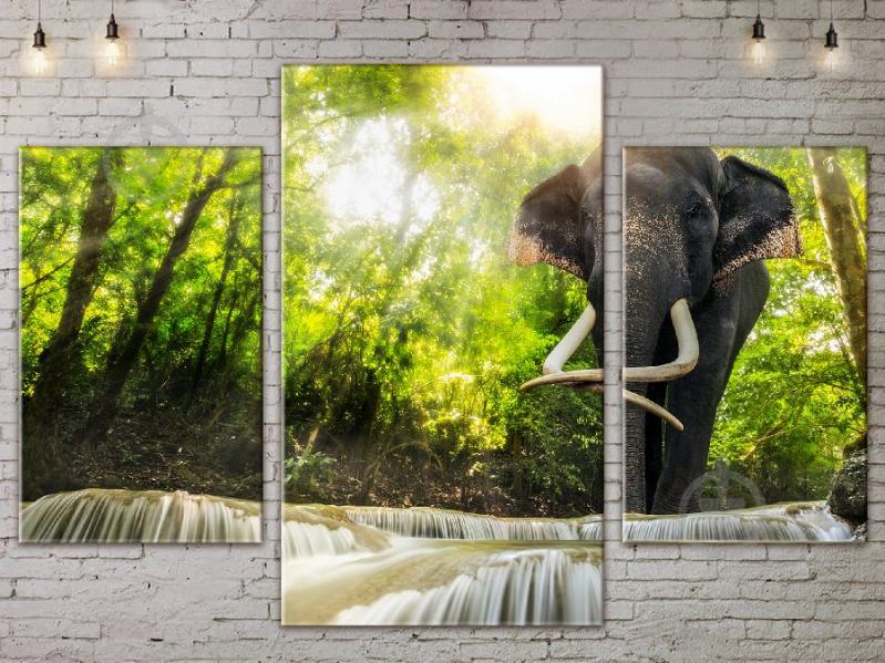 Модульная картина Слон ADNA0082 размер 120 х 180 см