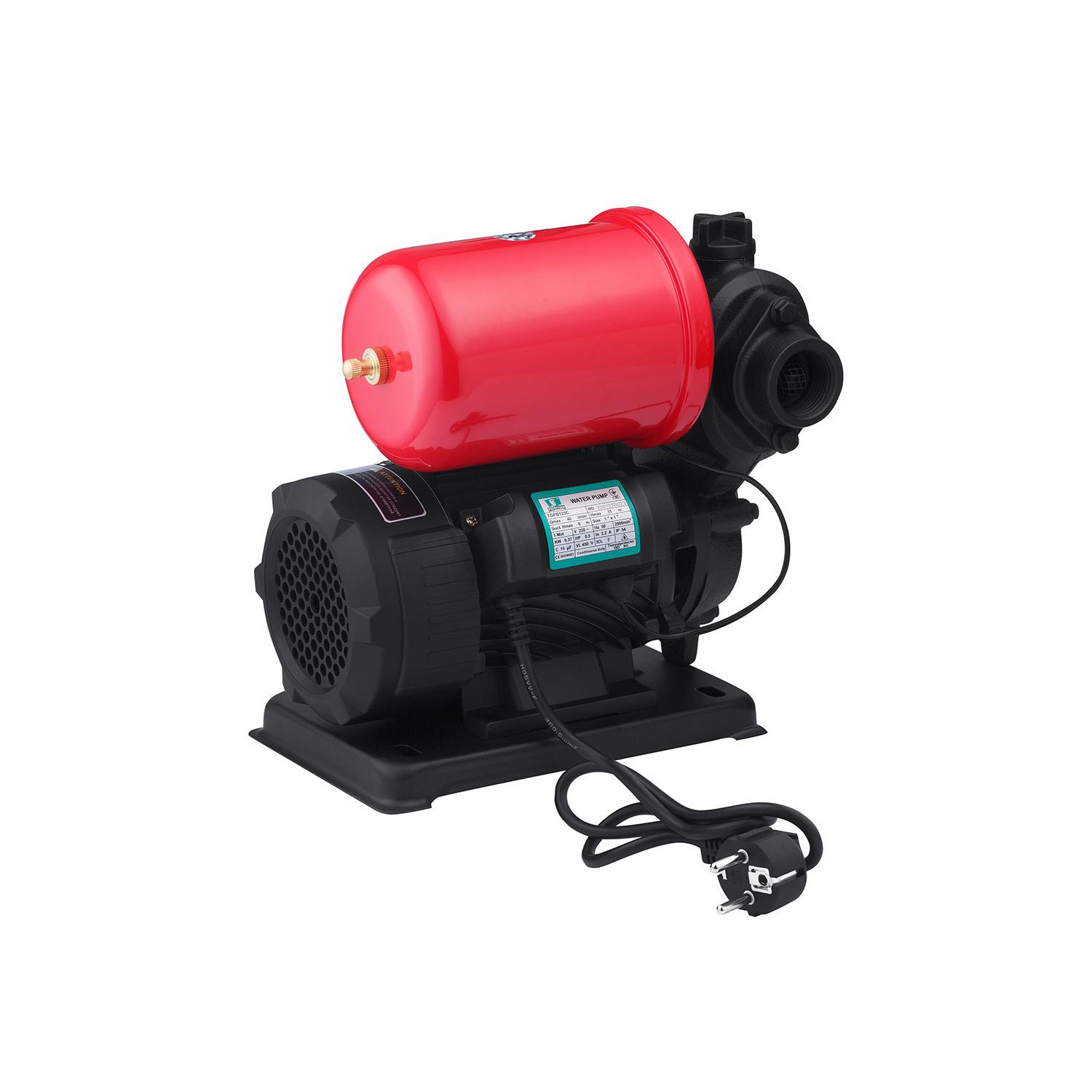 Насосная станция Pumpman TGPB125C Нmax 35 м Qmax 2,4 куб. м 370 Вт бак 2 л (CV029792)
