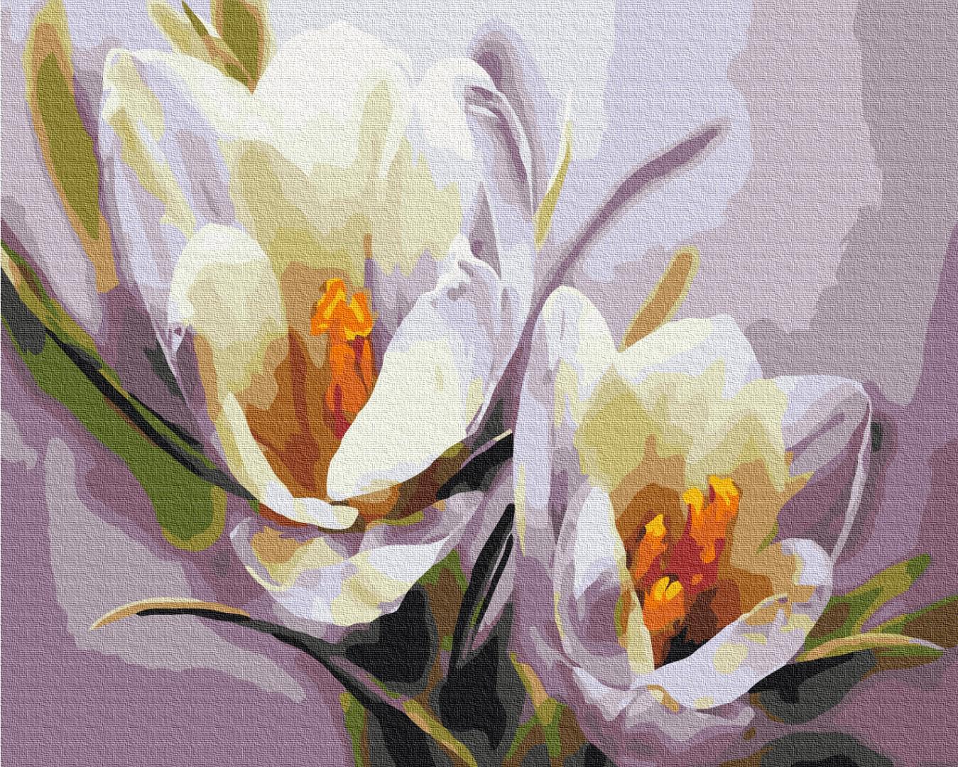 Картина за номерами Brushme Крокуси 40x50 см (BS5828) Картина за номерами Brushme Крокуси 40x50 см (BS5828)