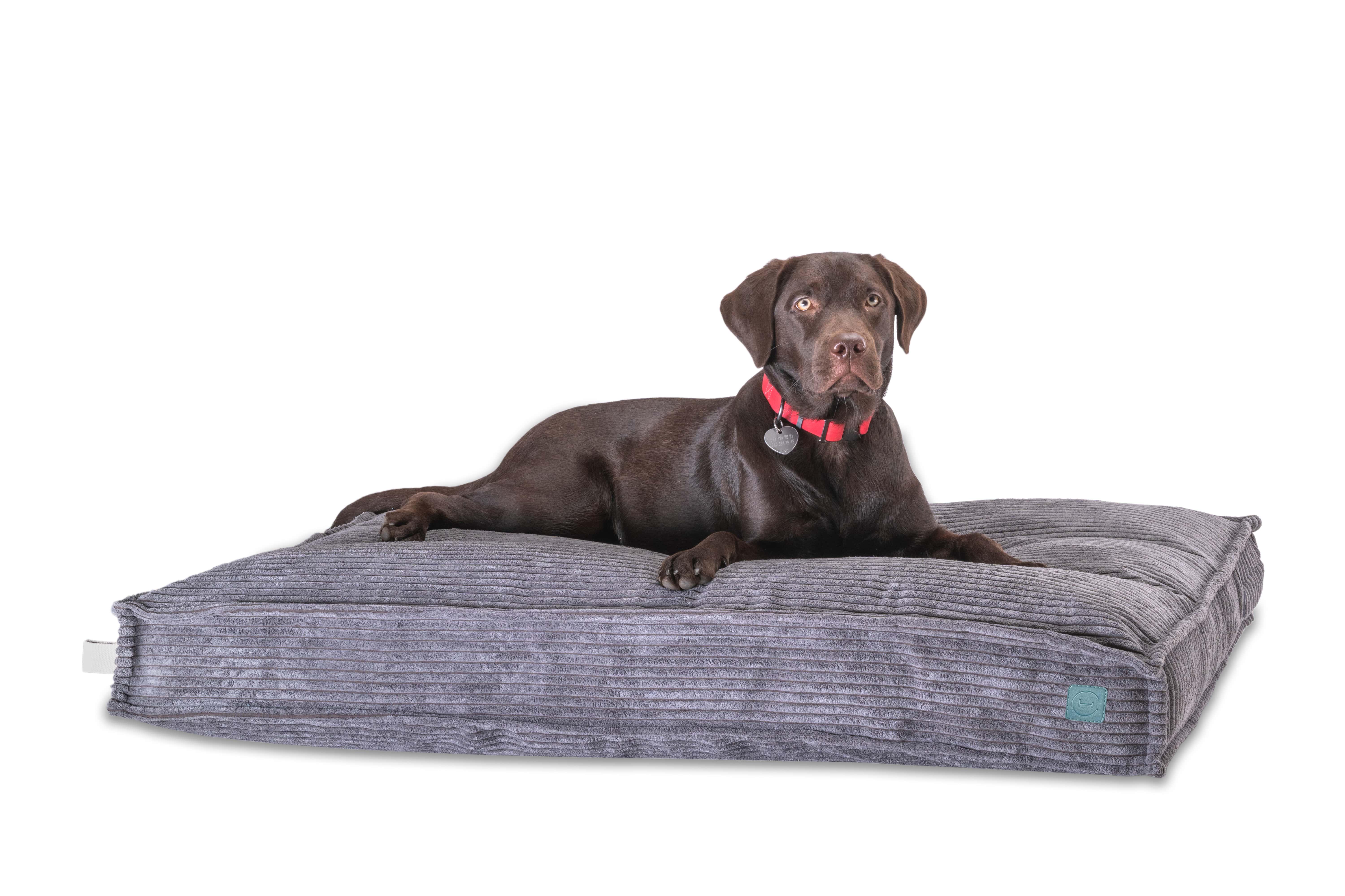 Подушка для собак Harley and Cho Memory Foam L 110х70 см Gray (3102963) - фото 3