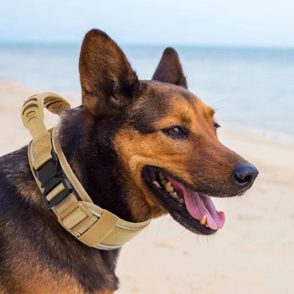 Ошейник для собак Harness Tactical широкий нейлоновый с металлической пряжкой-фастекс M Черный (2349915305) - фото 2 Ошейник для собак Harness Tactical широкий нейлоновый с металлической пряжкой-фастекс M Черный (2349915305) - фото 2