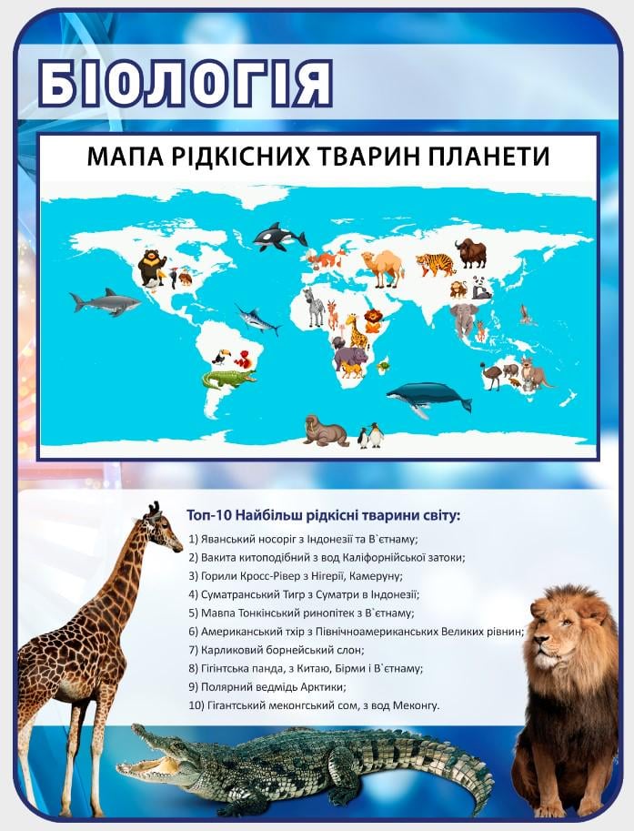 Стенд для учебных заведений "Мапа рідкісних тварин" 600х800 мм (КВ0021) Стенд для учебных заведений "Мапа рідкісних тварин" 600х800 мм (КВ0021)