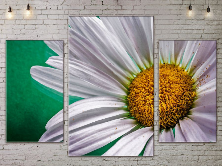 Картина модульная ArtStar Ромашка ADFL0121 120х180 см 3 части