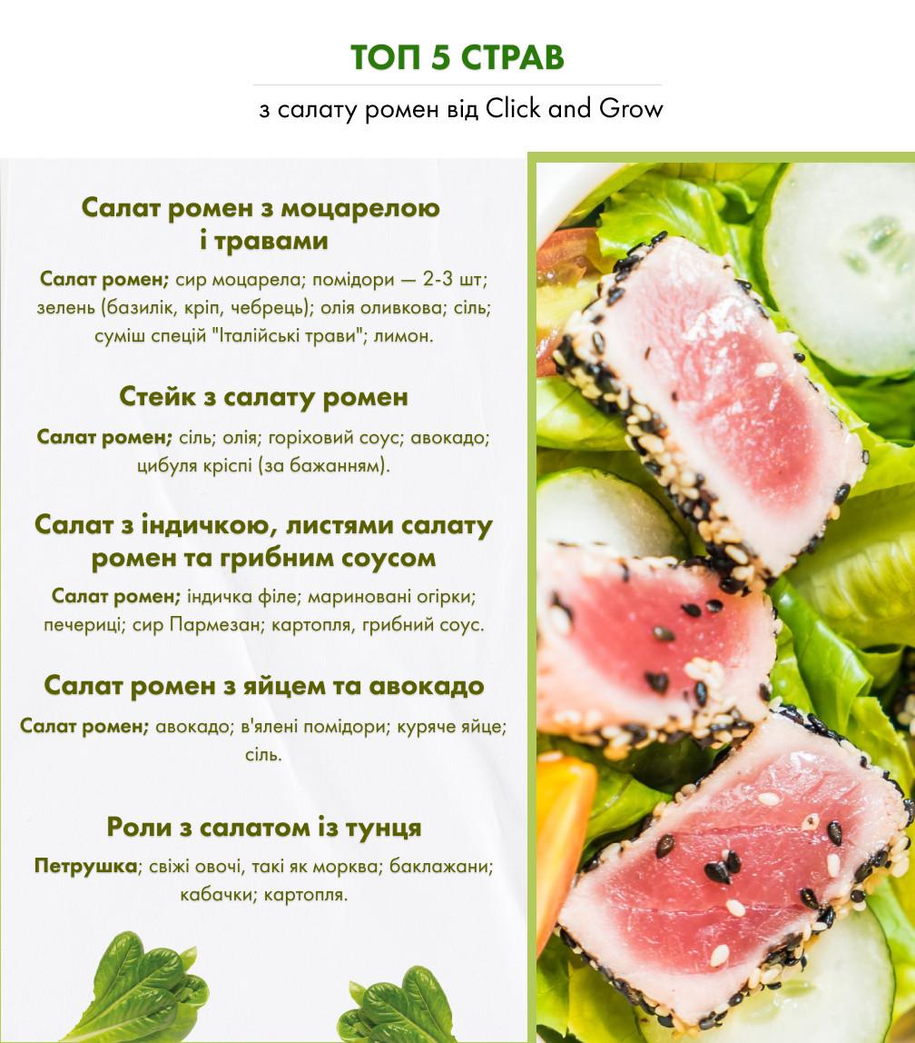 Картридж для умной фермы Click&Grow Салат Ромен (A-013936) - фото 3 Картридж для умной фермы Click&Grow Салат Ромен (A-013936) - фото 3