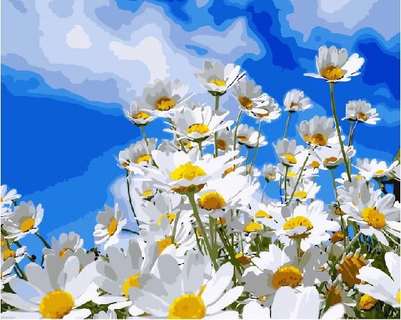 Картина за номерами Brushme Польові ромашки (GX8436) Картина за номерами Brushme Польові ромашки (GX8436)