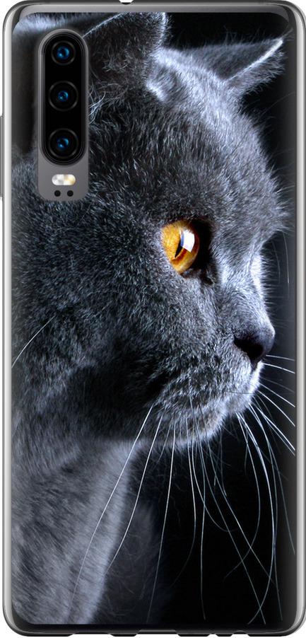 Чехол на Huawei P30 Красивый кот (3038u-1622-42517)