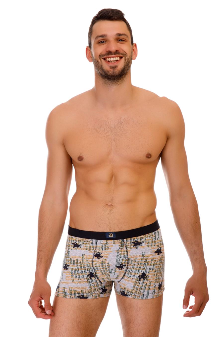 Трусы боксеры Gasoline Blu р. 48/M Серый/Синий (70841)