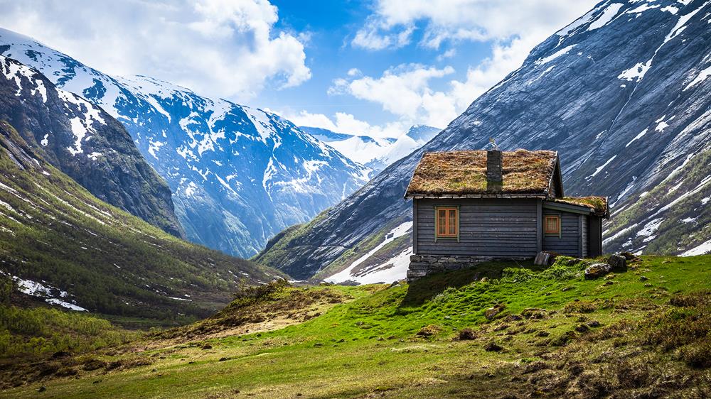 Картина Природа PR164 55х85 см