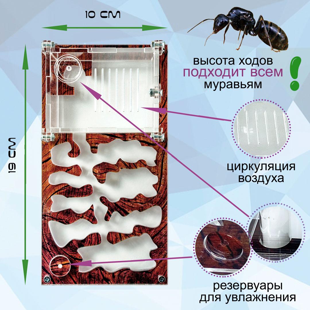 Комплект ANT-LIVE Smart "дерево" з мурашиною фермою та мурахами (c4339c41) - фото 2