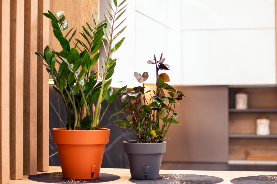 Горшок для цветов LATINA 11,5 л Песочный - фото 2 Горшок для цветов LATINA 11,5 л Песочный - фото 2