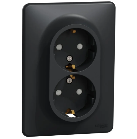 Розетка двойная Schneider Sedna Design со шторками Черный (28488537) Розетка двойная Schneider Sedna Design со шторками Черный (28488537)