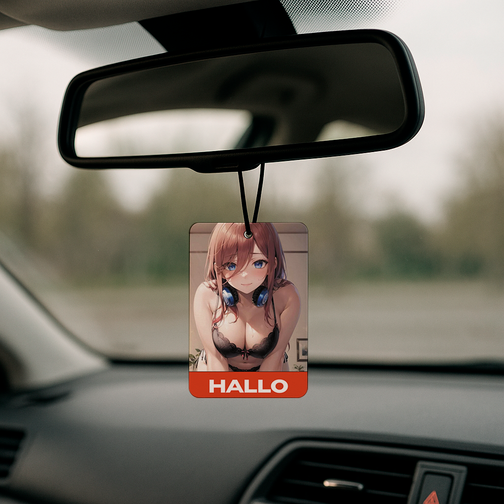 Ароматизатор в авто Hallo (2618150065)