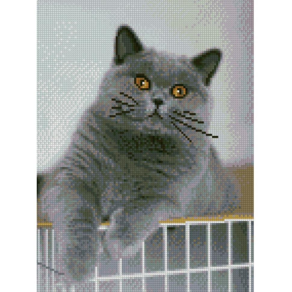 Алмазная картина Strateg Интересный котик 30x40 см (HX177)